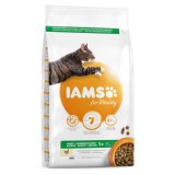 IAMS chat Adult Poulet - Croquette pour chat adulte