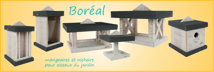 Aliments pour oiseaux