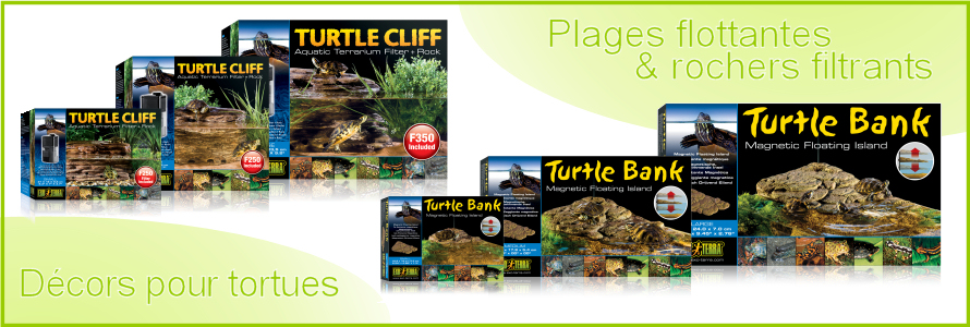 Soins des tortues